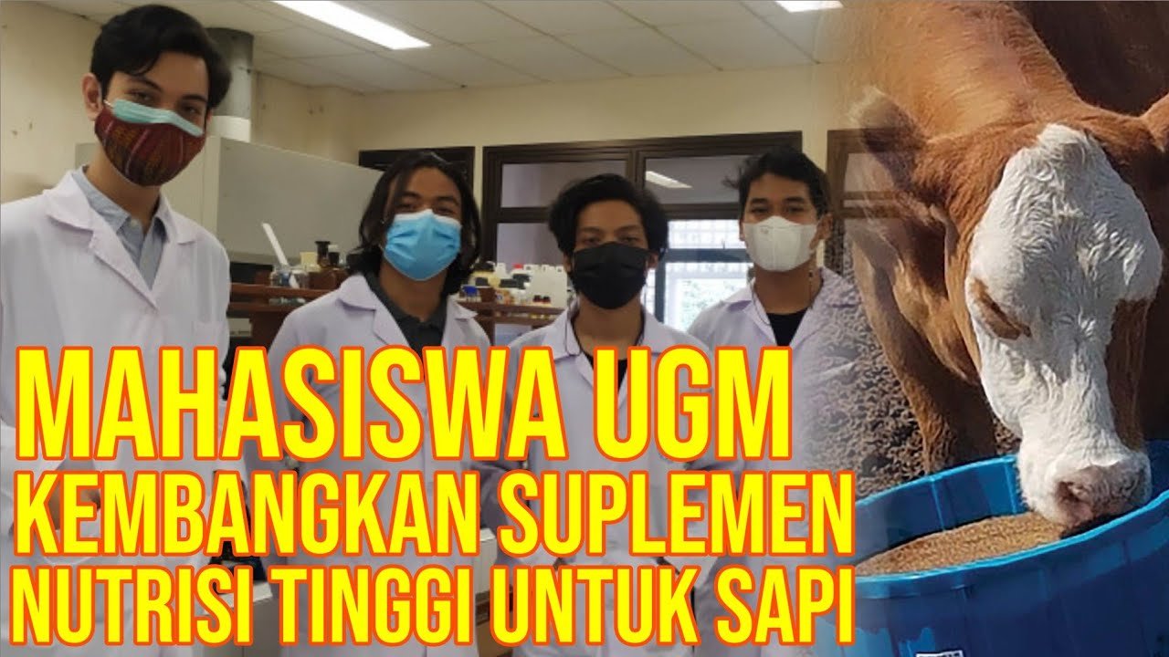
                                 Hasil-Penelitian-Pakan-Ternak-Sapi-Mahasiswa-UGM